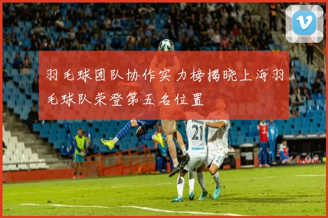 羽毛球团队协作实力榜揭晓上海羽毛球队荣登第五名位置