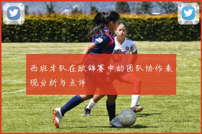 西班牙队在欧锦赛中的团队协作表现分析与点评