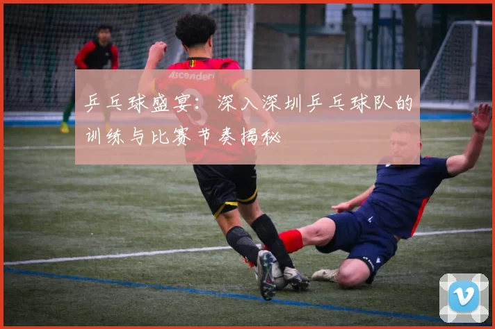 乒乓球盛宴：深入深圳乒乓球队的训练与比赛节奏揭秘