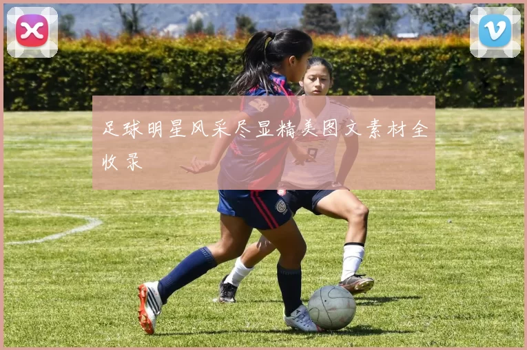 足球明星风采尽显精美图文素材全收录