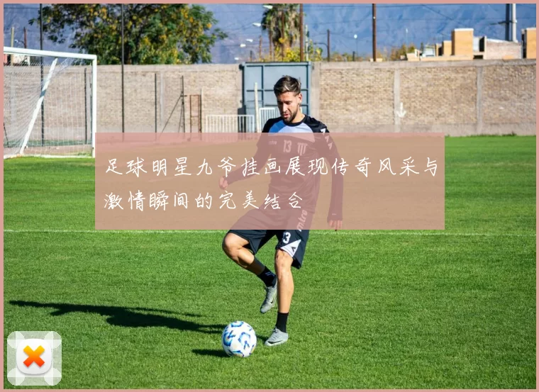足球明星九爷挂画展现传奇风采与激情瞬间的完美结合